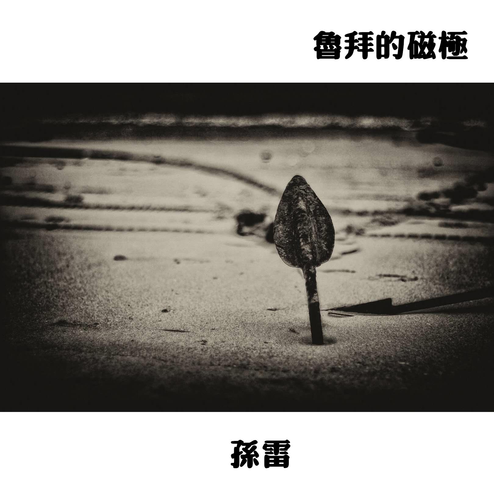 魯拜的磁極专辑