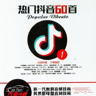 2018《热门抖音60首》黑胶4CD[WAV]