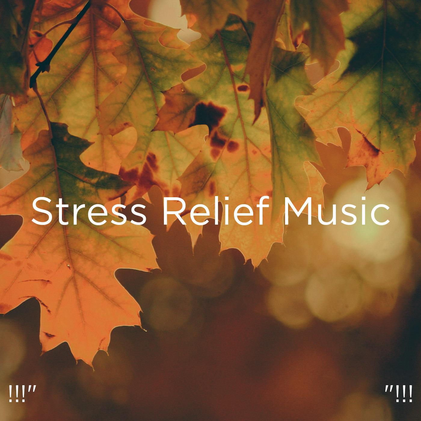 !!!" Stress Relief Music "!!!