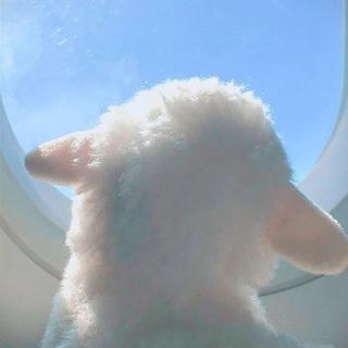 藤竹京/千里狗/陈阳/向文涛/不够/段弋