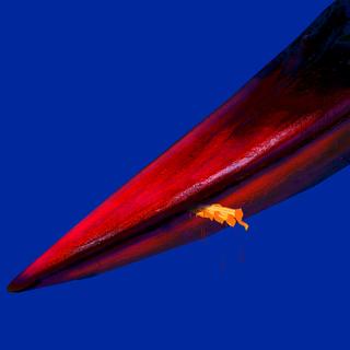 【三册柏☞☞☞制作全收录】