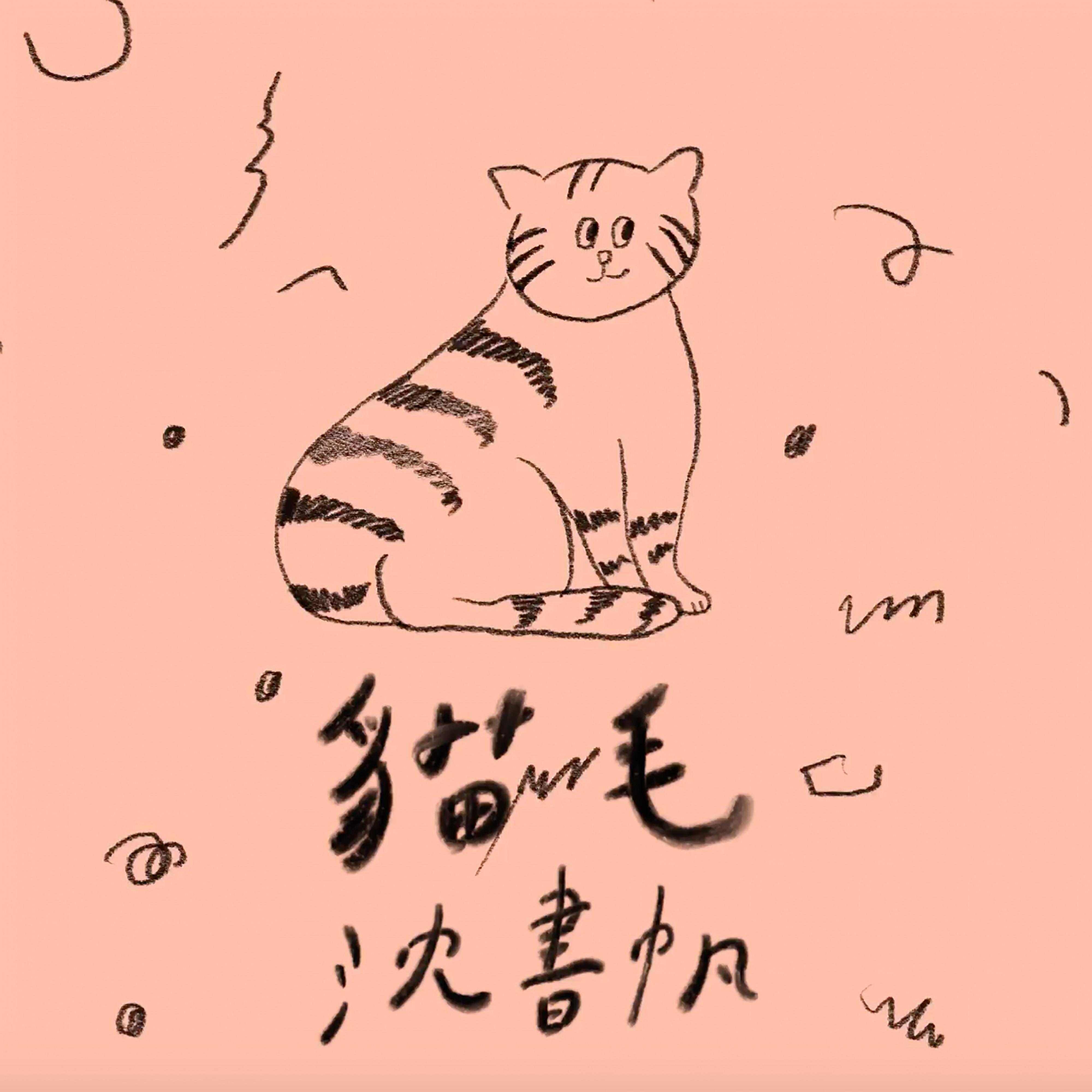 猫毛