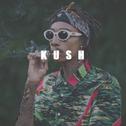 K U S H (Wiz Khalifa TYPE BEAT)专辑