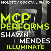 Shawn Mendes - Patience (instrumental)