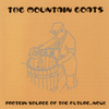 The Mountain Goats - Coco-Yam Song