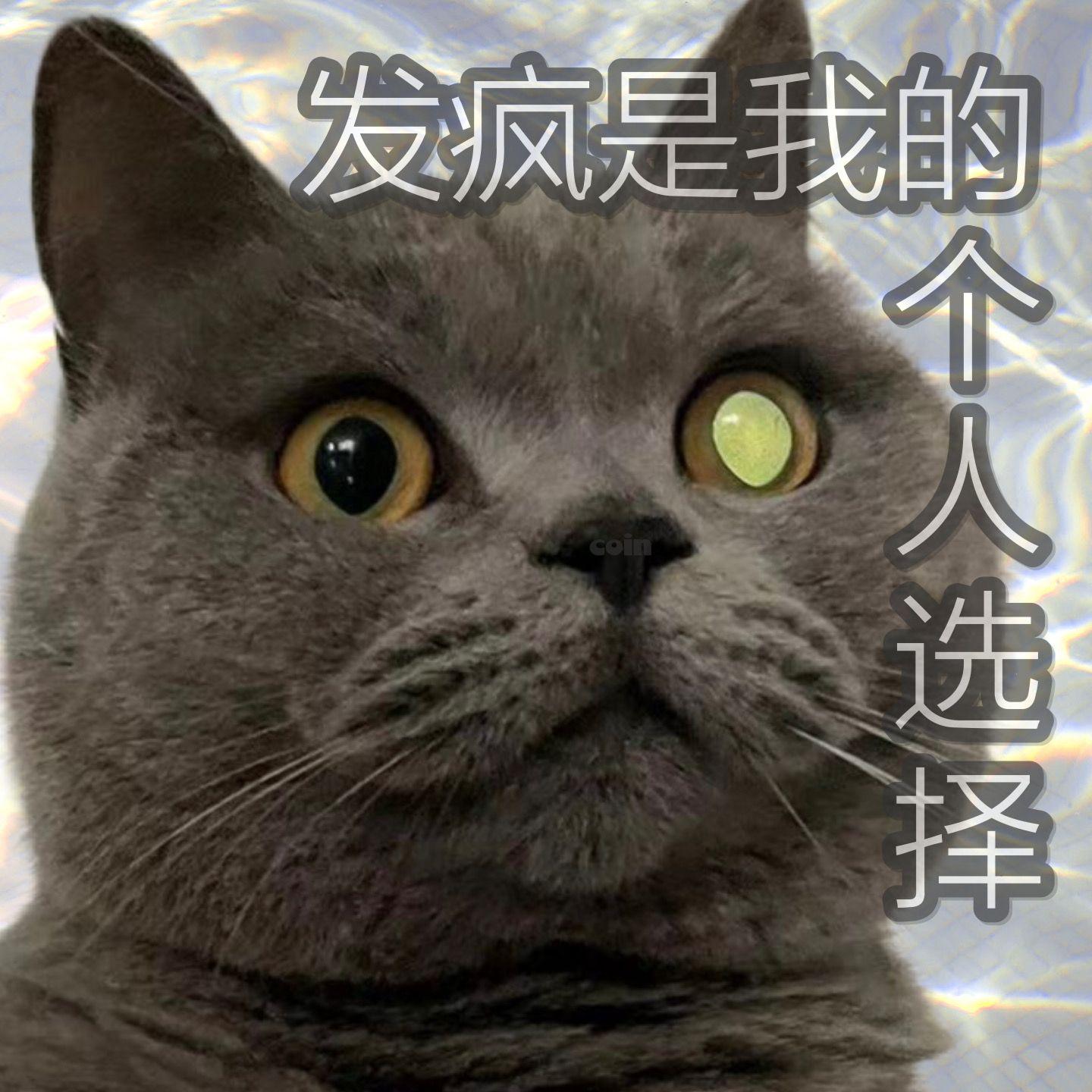 发疯是我的个人选择（Prod by Slim Dyane.)