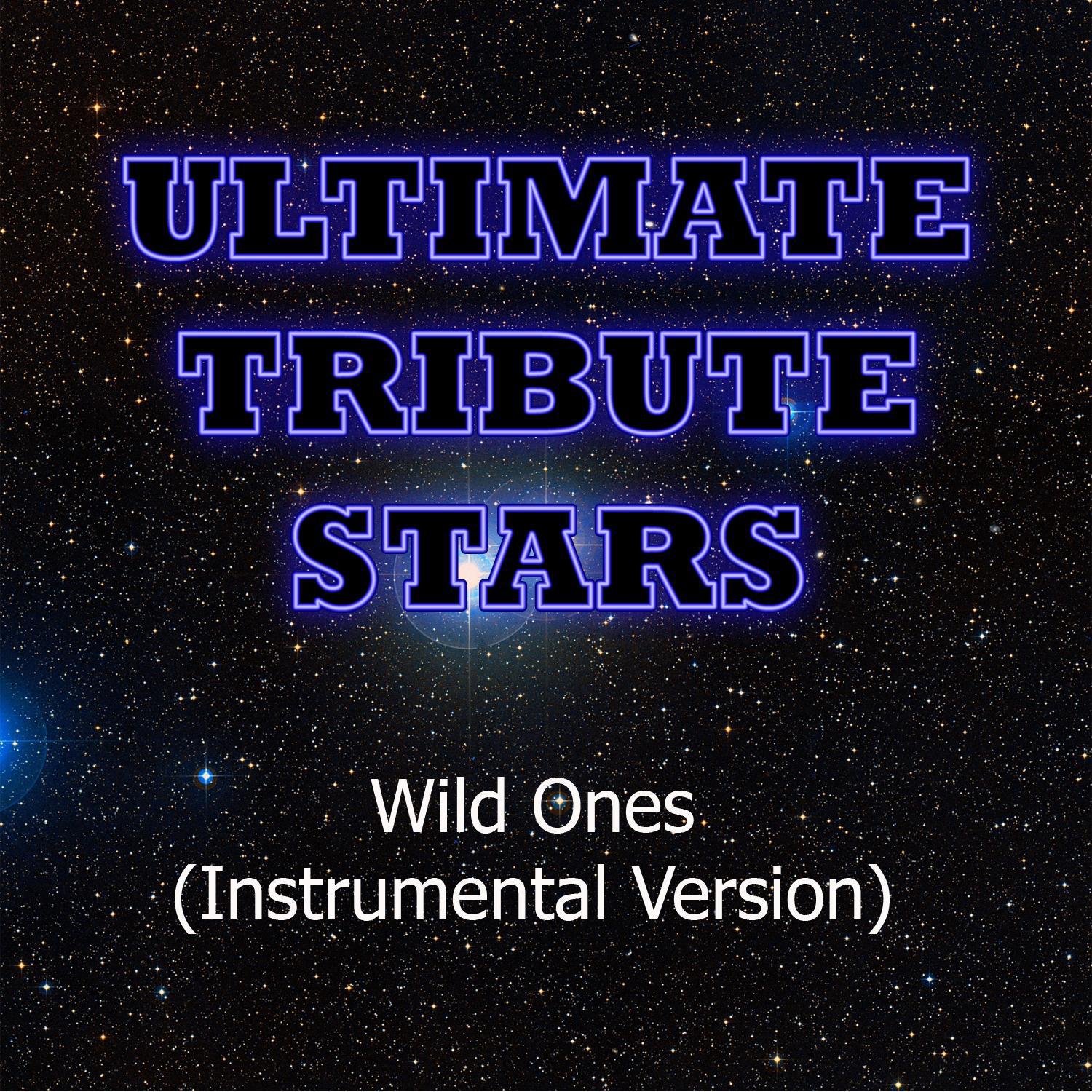 Flo Rida feat. Sia - Wild Ones (Instrumental Version)专辑