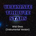 Flo Rida feat. Sia - Wild Ones (Instrumental Version)专辑