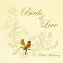 Birds of Love专辑