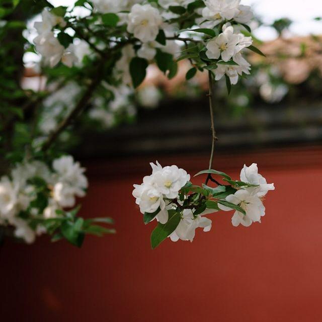 漫步夏夜里