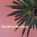 You Drive Me Crazy专辑