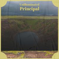 Unilluminated Principal