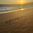 L.O.V.E.U
