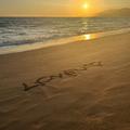 L.O.V.E.U