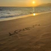 L.O.V.E.U