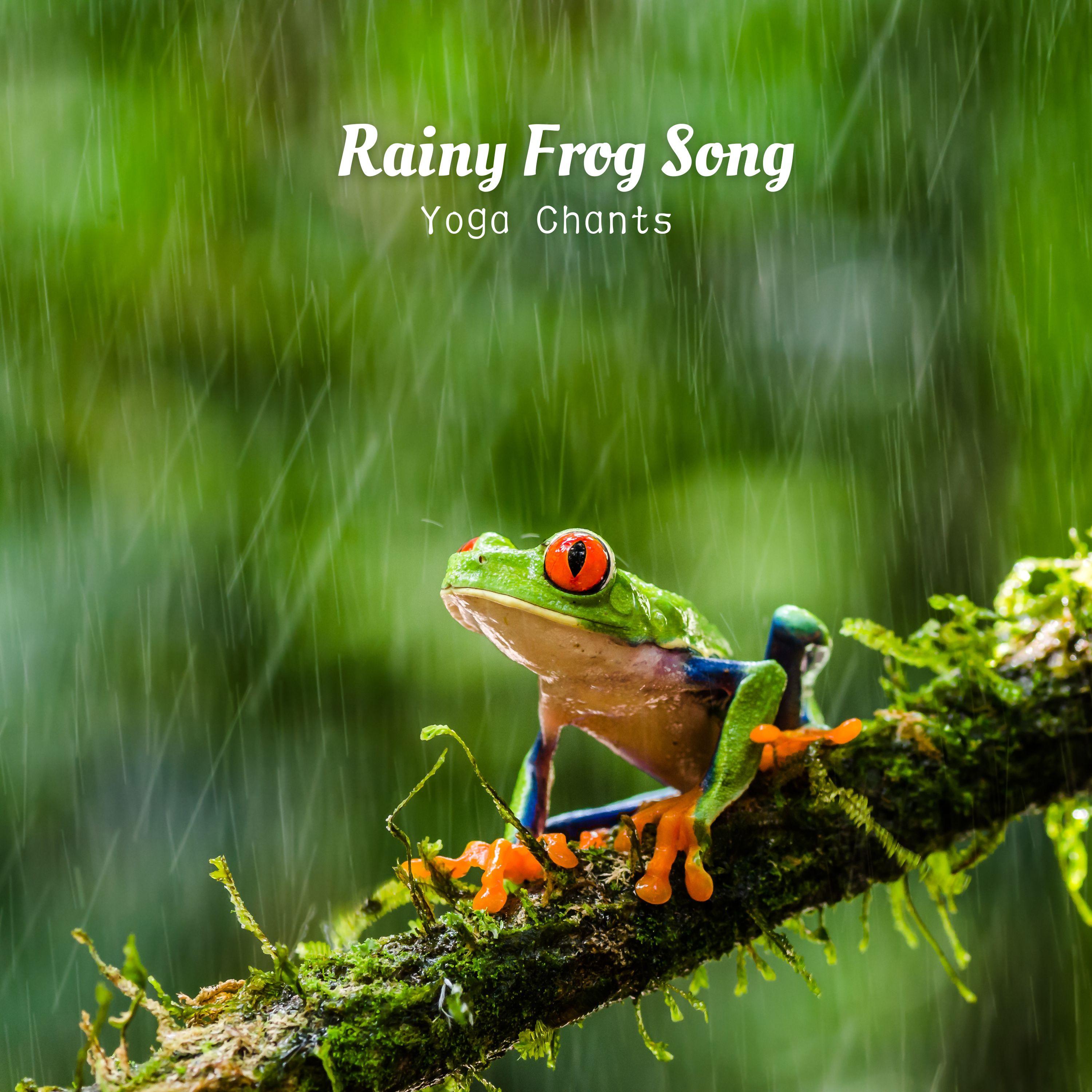 Rain Sound Experience - Frog Chant Flow