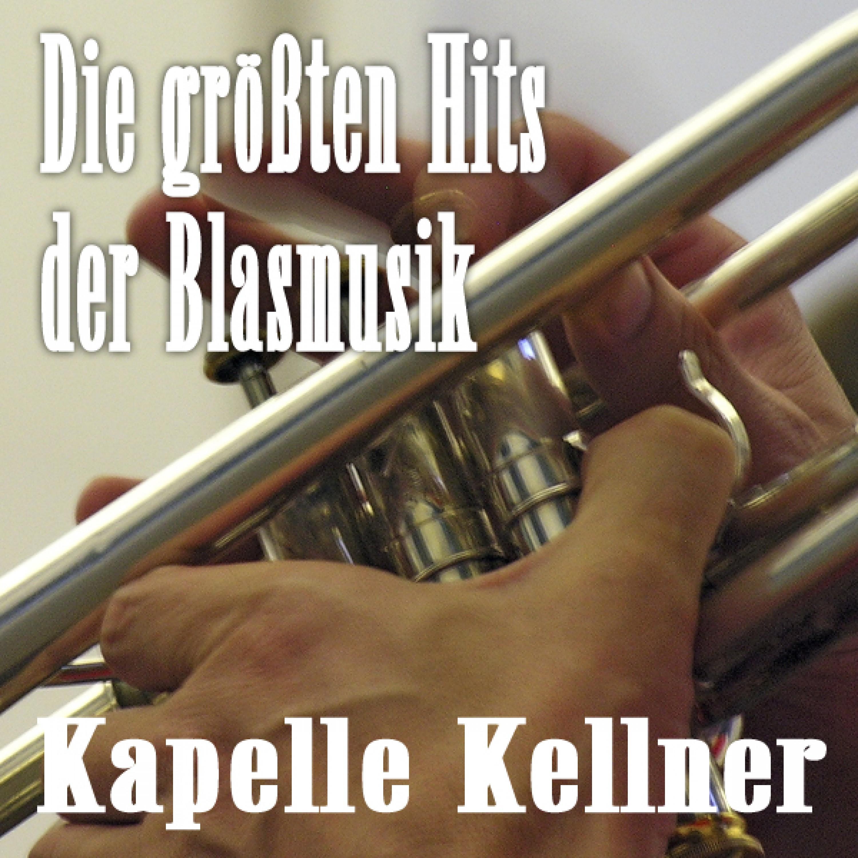 Die Größten Hits Der Blasmusik