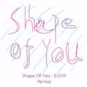 Shape Of You - (LCHR Remix)专辑