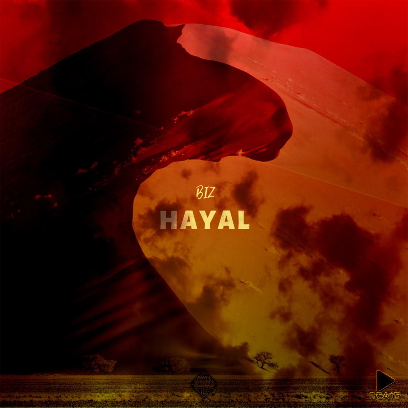 Hayal