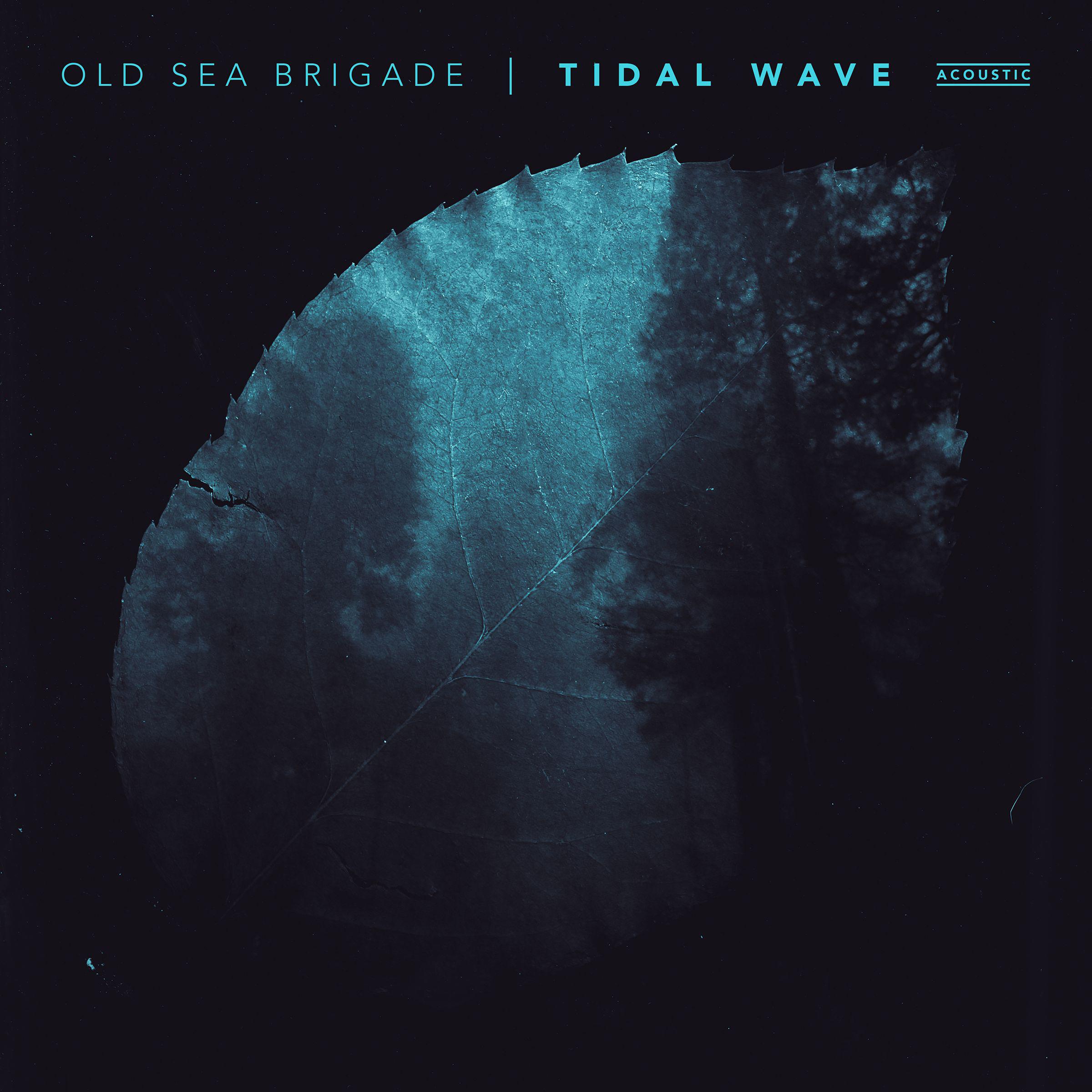 Tidal Wave (Acoustic)专辑