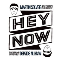 原版伴奏   Hey Now - Martin Solveig And The Cataracs Feat Kyle (karaoke) [有和声]