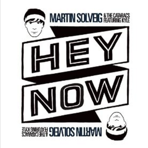 the Cataracs、Martin Solveig - Hey Now （降2半音）