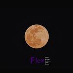 Flex专辑