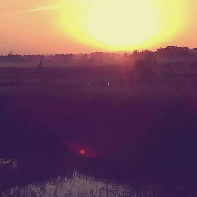 How Many Lovers 2017版（翻自 Avicii）