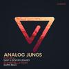 Analog Jungs - Futura (Dowden Remix)