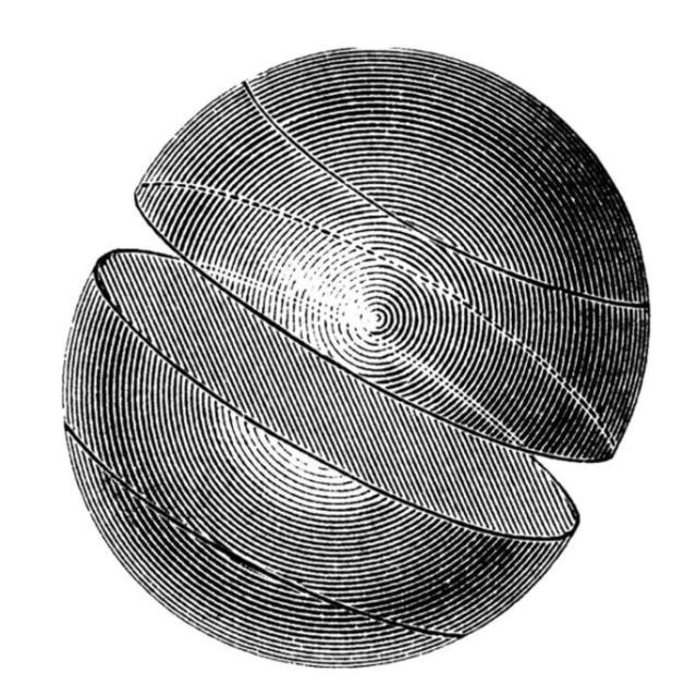 ezodia