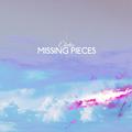 Missing Pieces