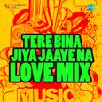 Tere Bina Jiya Jaaye Na Love Mix