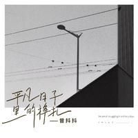 关牧村 - 紫丁香啊白丁香(原版立体声伴奏)