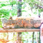 Glimpse Of The Storm专辑