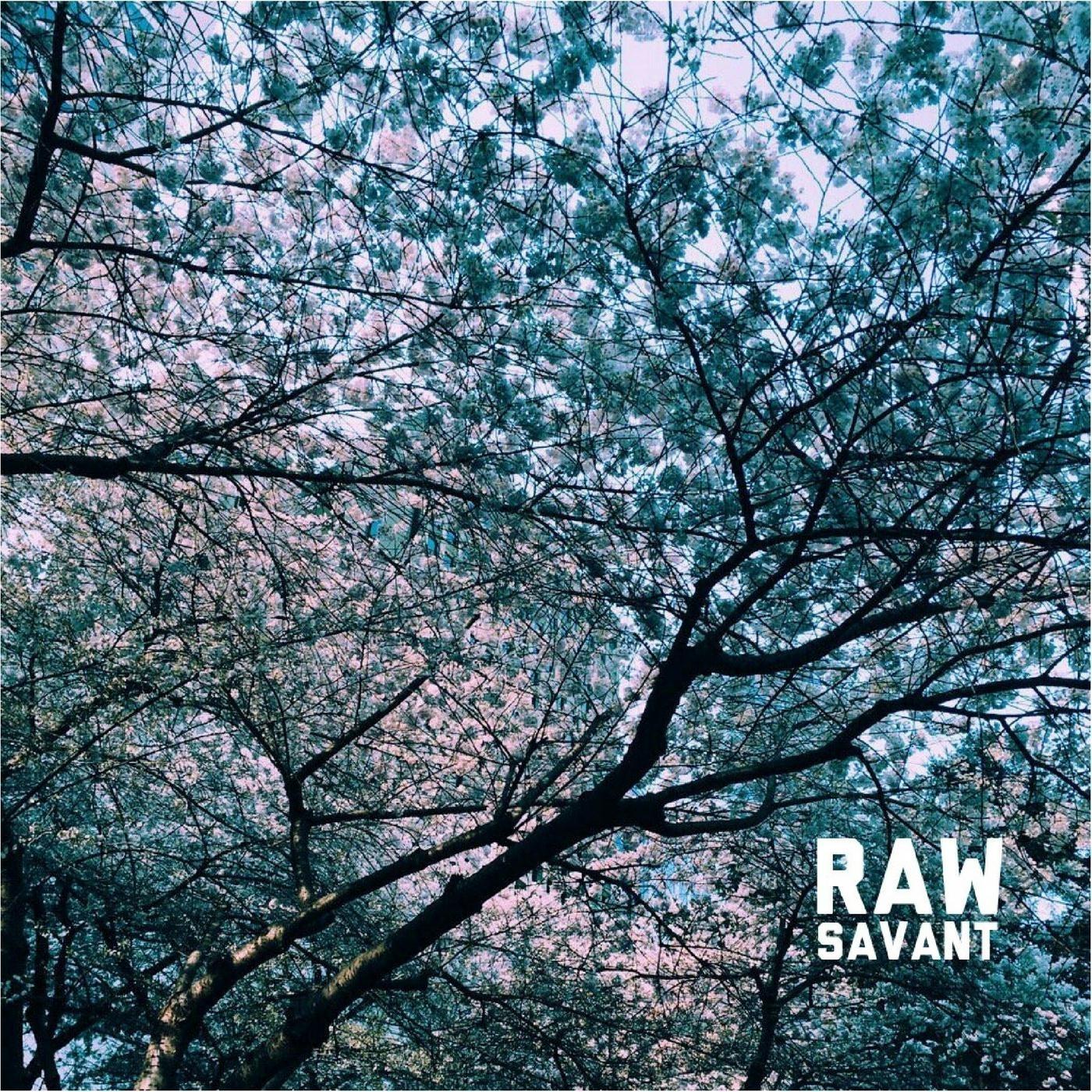 Raw Savant - EP