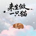 来生做一只猫专辑