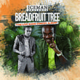 Breadfruit Tree