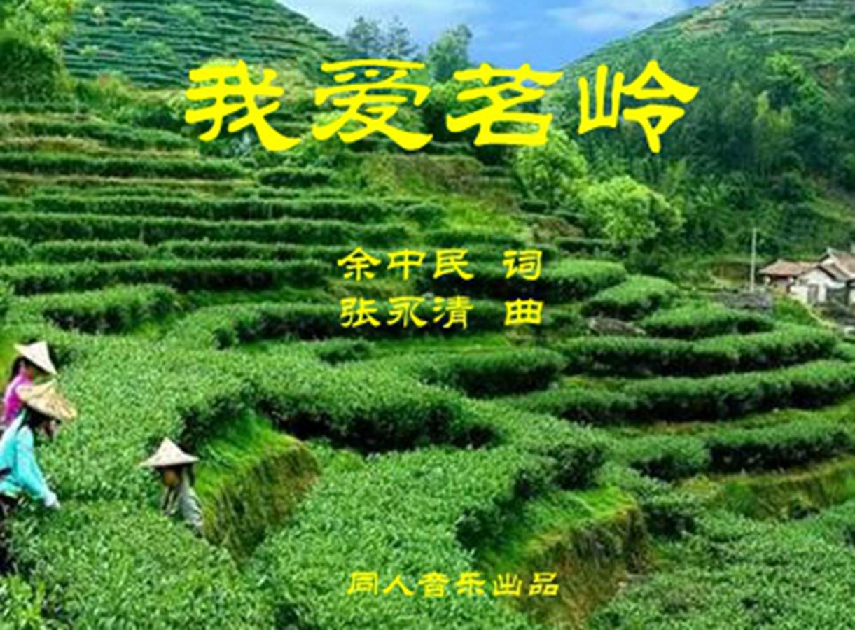 我爱茗岭专辑