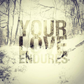 Your Love Endures