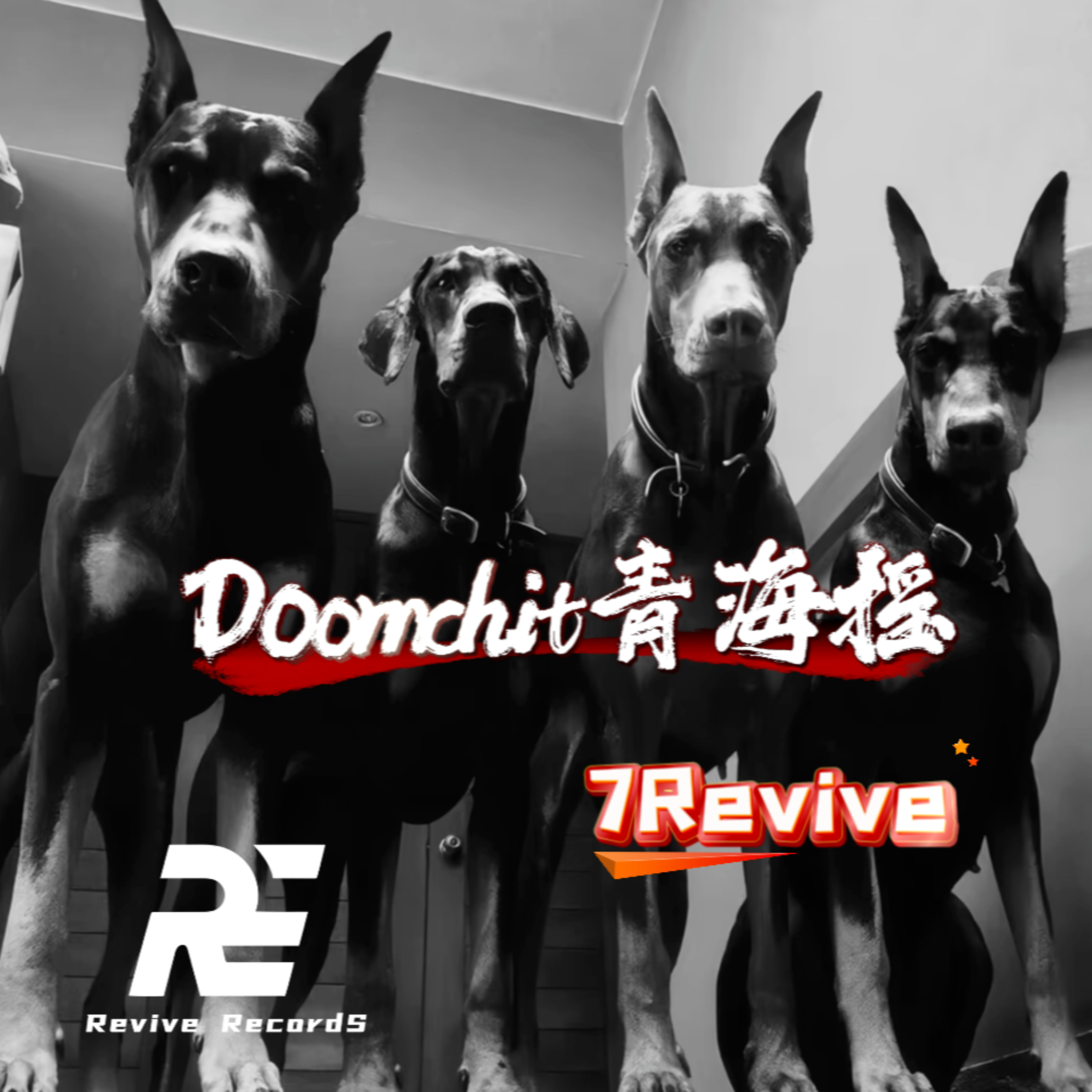 Doomchit青海摇
