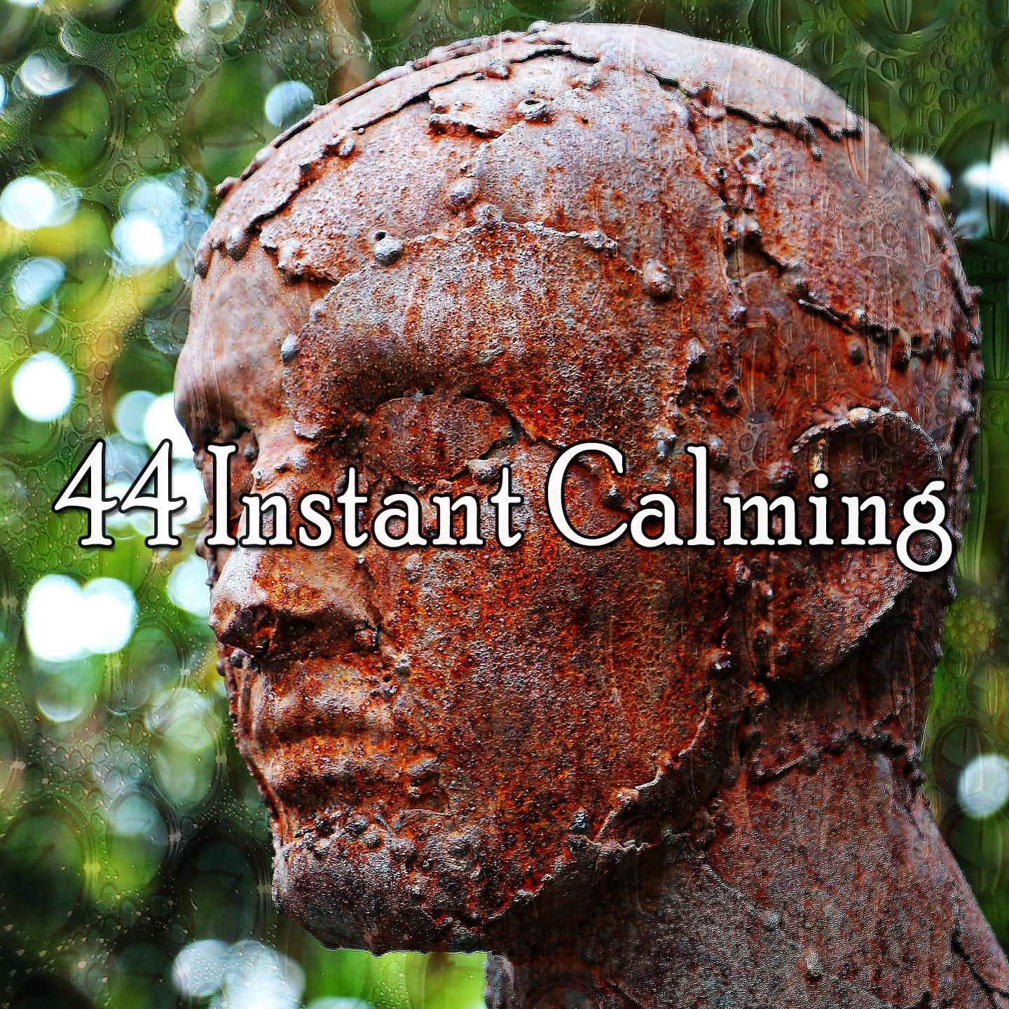 44 Instant Calming专辑