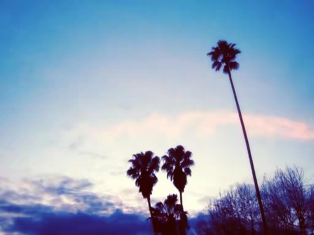 Next to Summer