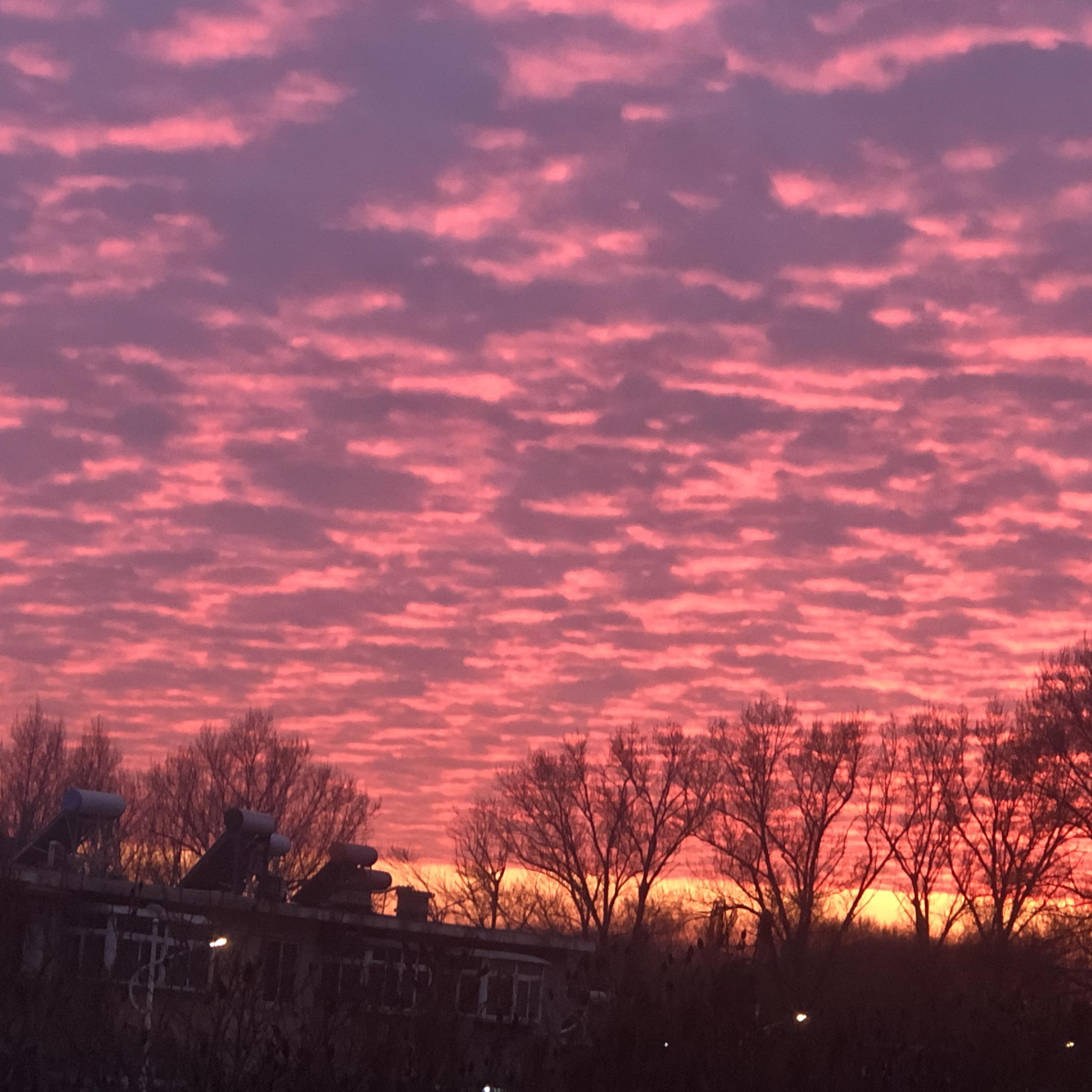 沈阳大街虎哥寻徒记