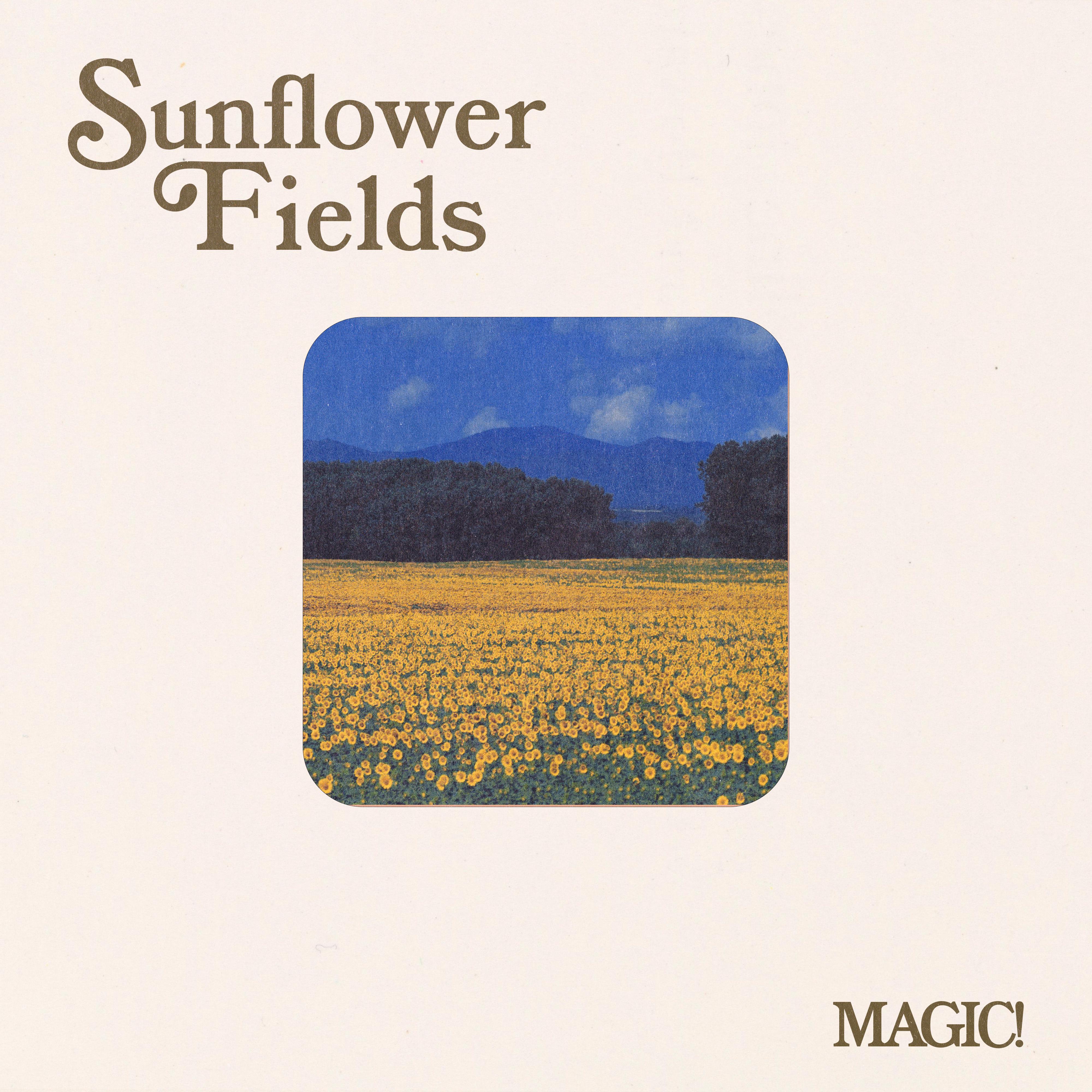 MAGIC! - Sunflower Fields