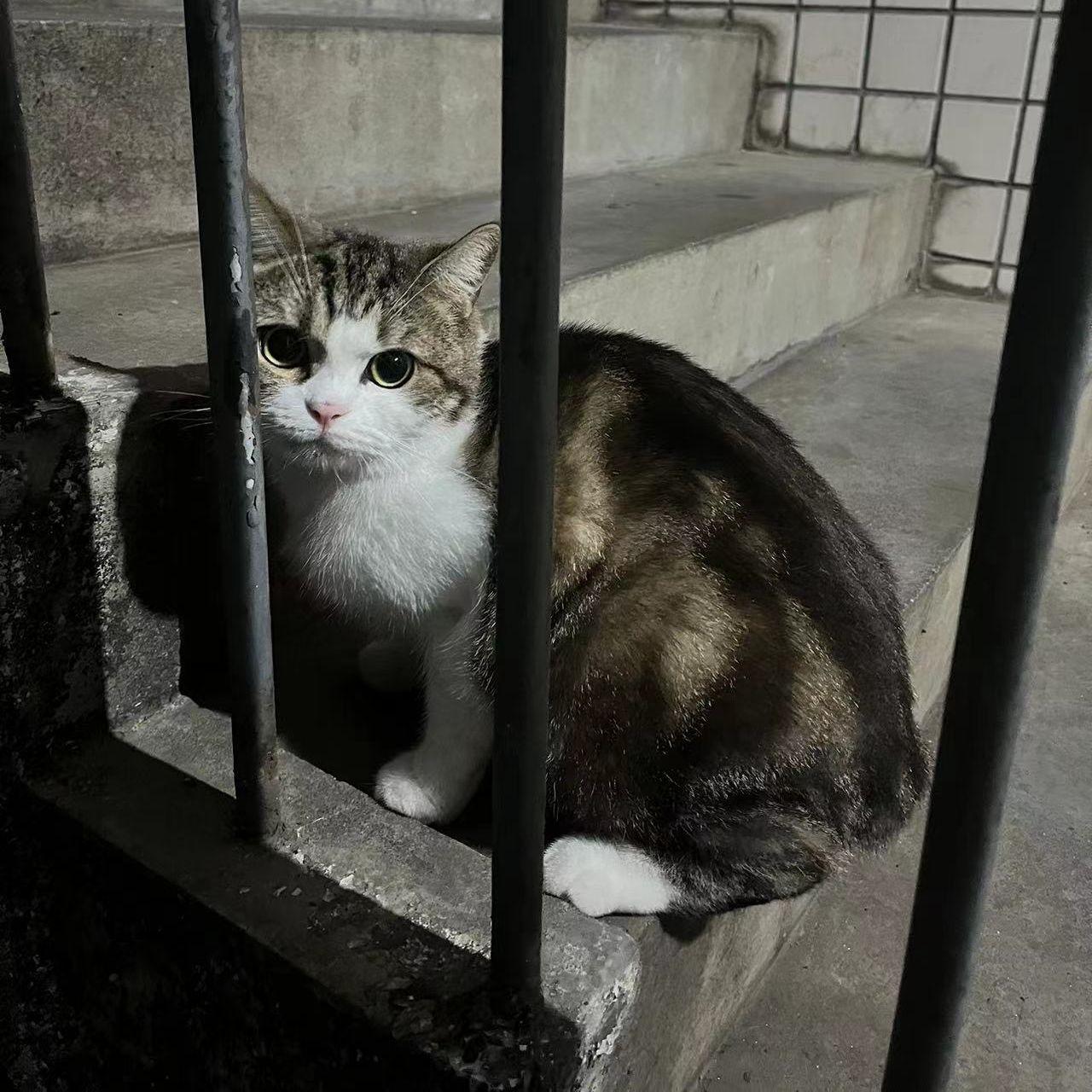 CREEP (prod BJORN LLANEZA)