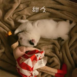 黄恺 甜久 伴奏 （升4半音）