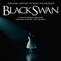 Black Swan专辑