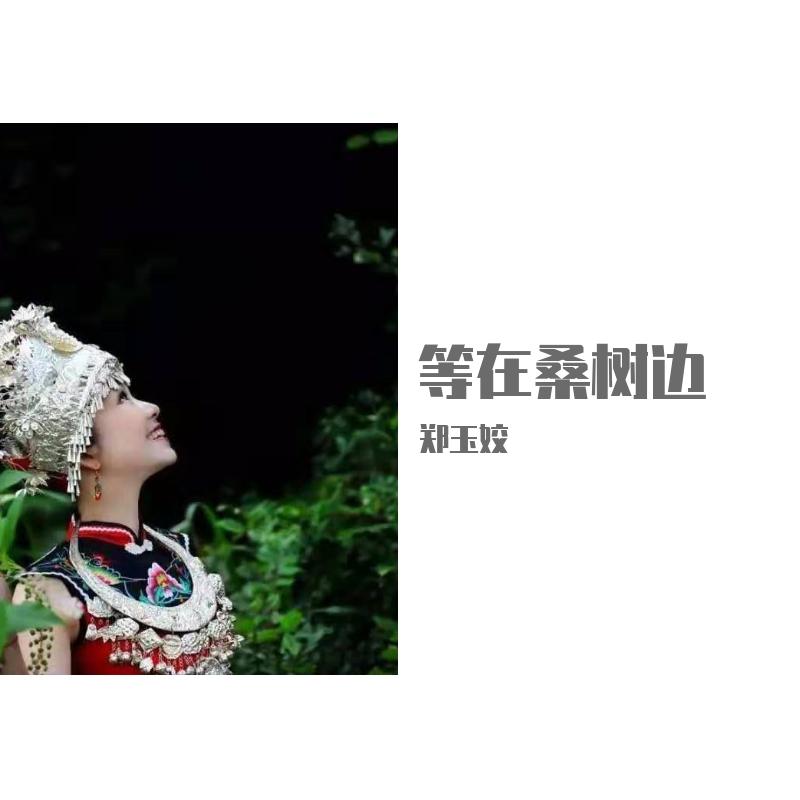 等在桑树边