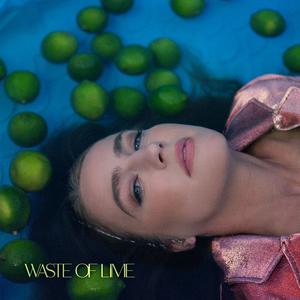 Waste of Lime - Ingrid Andress (Karaoke Version) 带和声伴奏