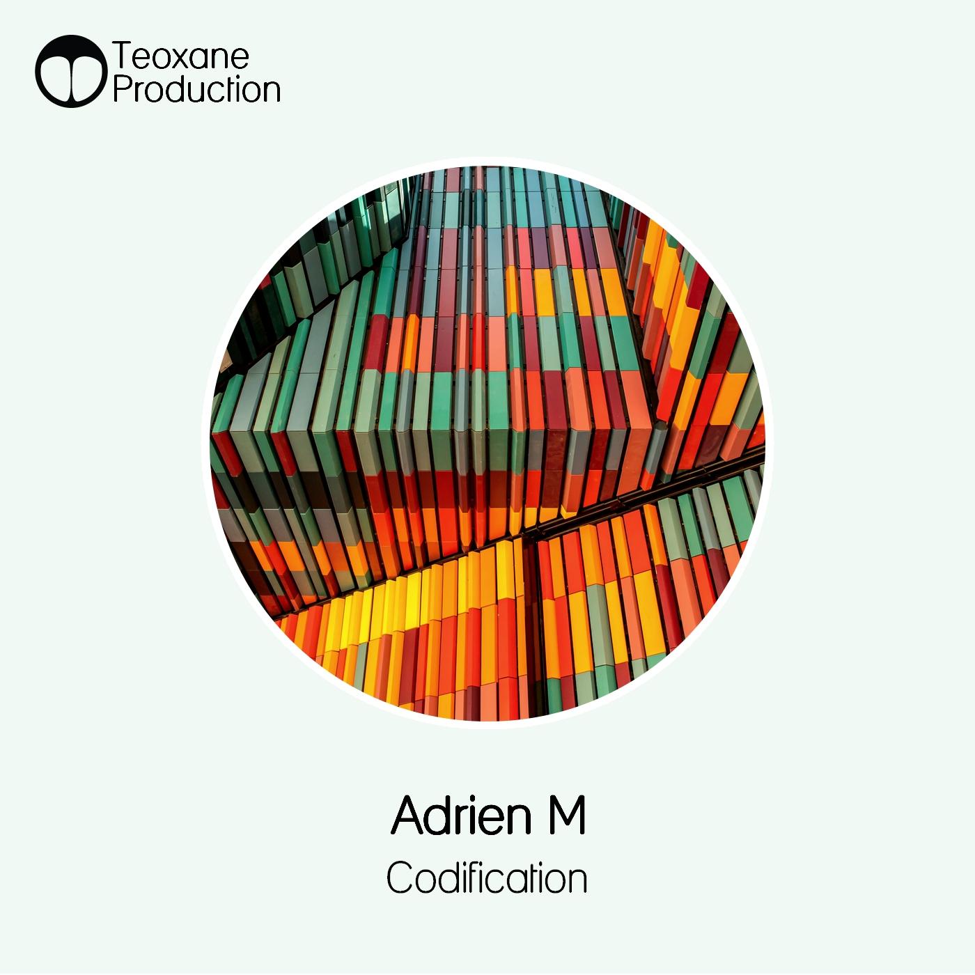 Codification